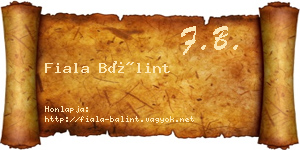 Fiala Bálint névjegykártya